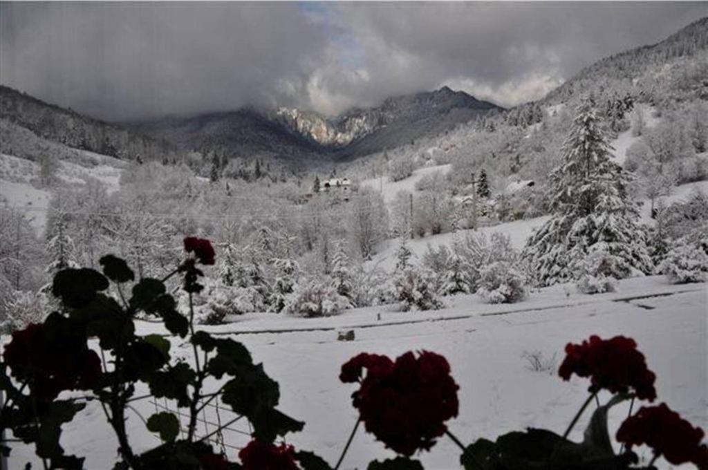 Pensiunea Aurora Izvorul Muntelui Bicaz Extérieur photo