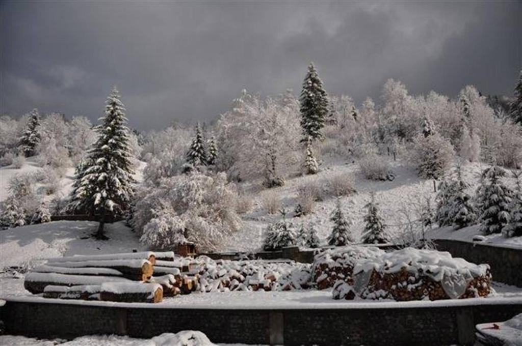 Pensiunea Aurora Izvorul Muntelui Bicaz Extérieur photo