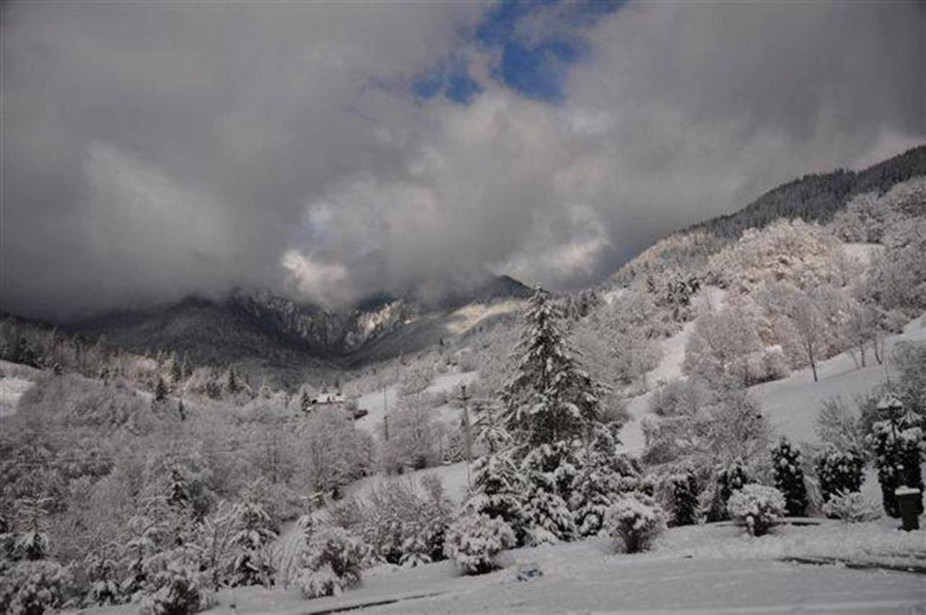 Pensiunea Aurora Izvorul Muntelui Bicaz Extérieur photo