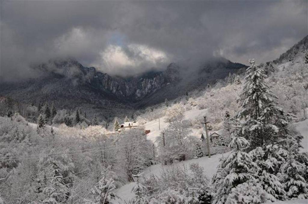 Pensiunea Aurora Izvorul Muntelui Bicaz Extérieur photo