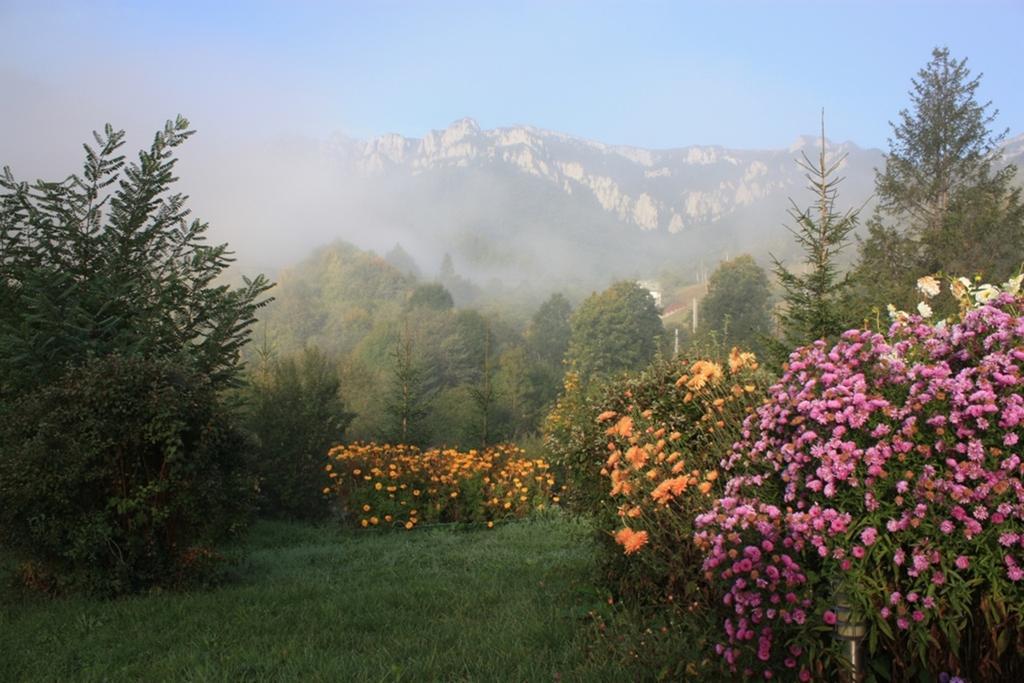 Pensiunea Aurora Izvorul Muntelui Bicaz Extérieur photo